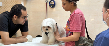 banner-img
