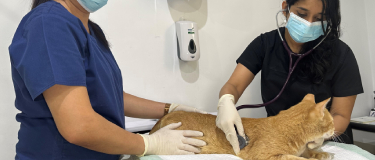 banner-img