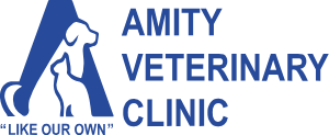 Veterinarians in Dubai | Amity Veterinary Clinic
